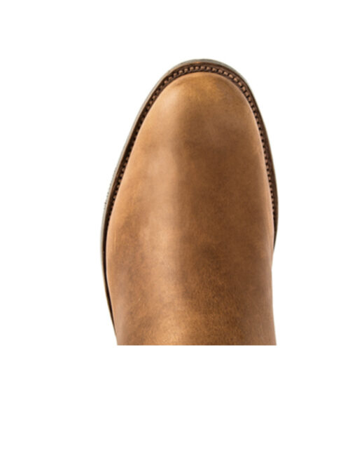 Rios of Mercedes Chestnut Black Hawk - Image 2