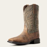 Ariat Amos Shock Shield