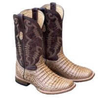 Cowtown Caiman Print