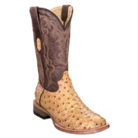 Cowtown Ostrich Print