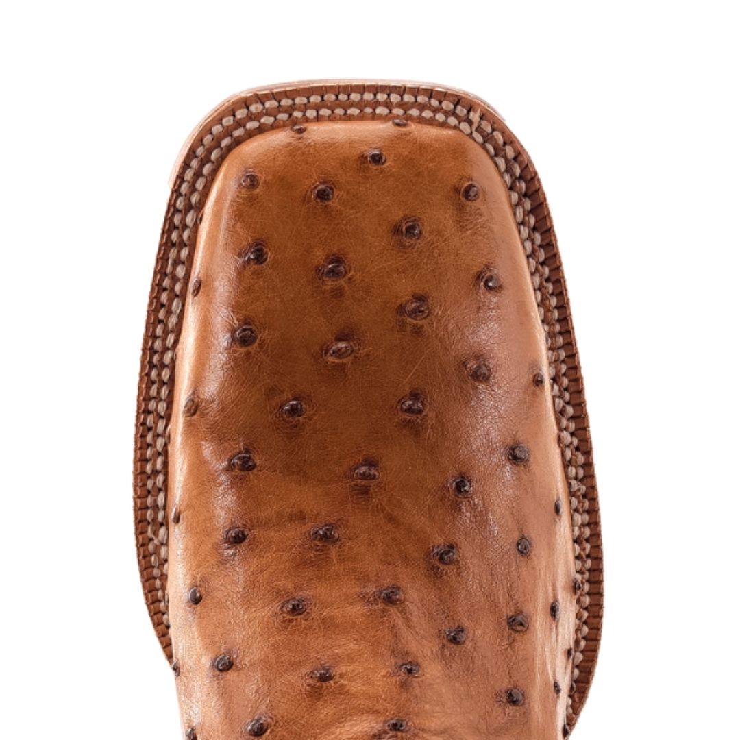 R. Watswon Full Quill Ostrich - Image 4